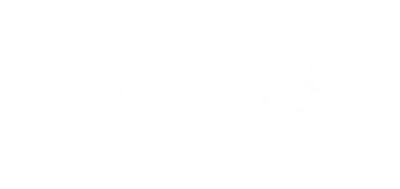 גיא ודורון לוי